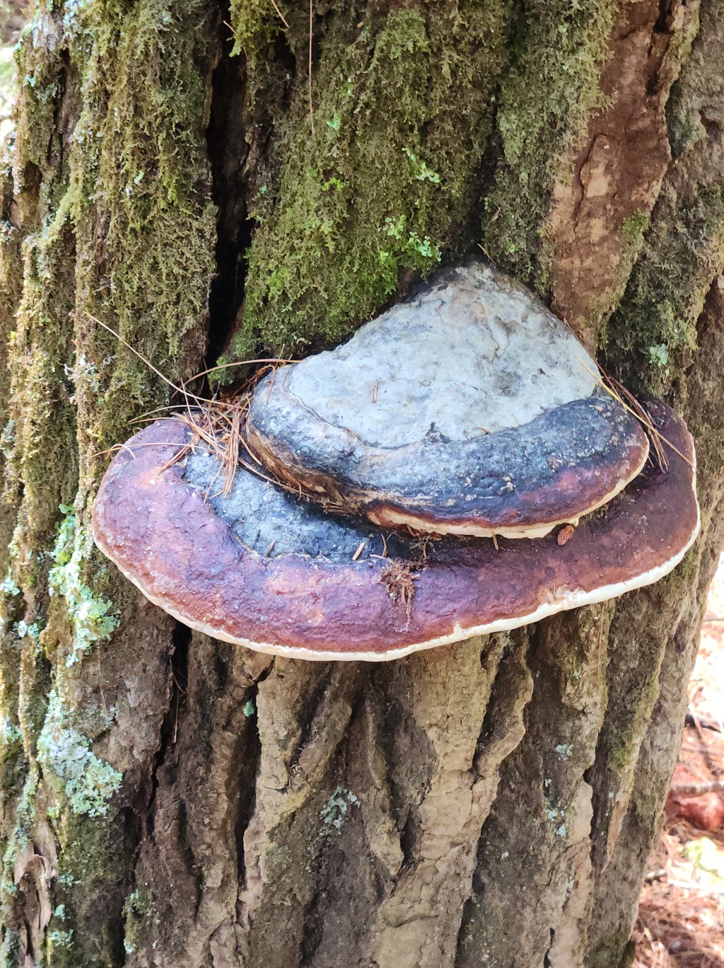 Just a hiking&nbsp;report