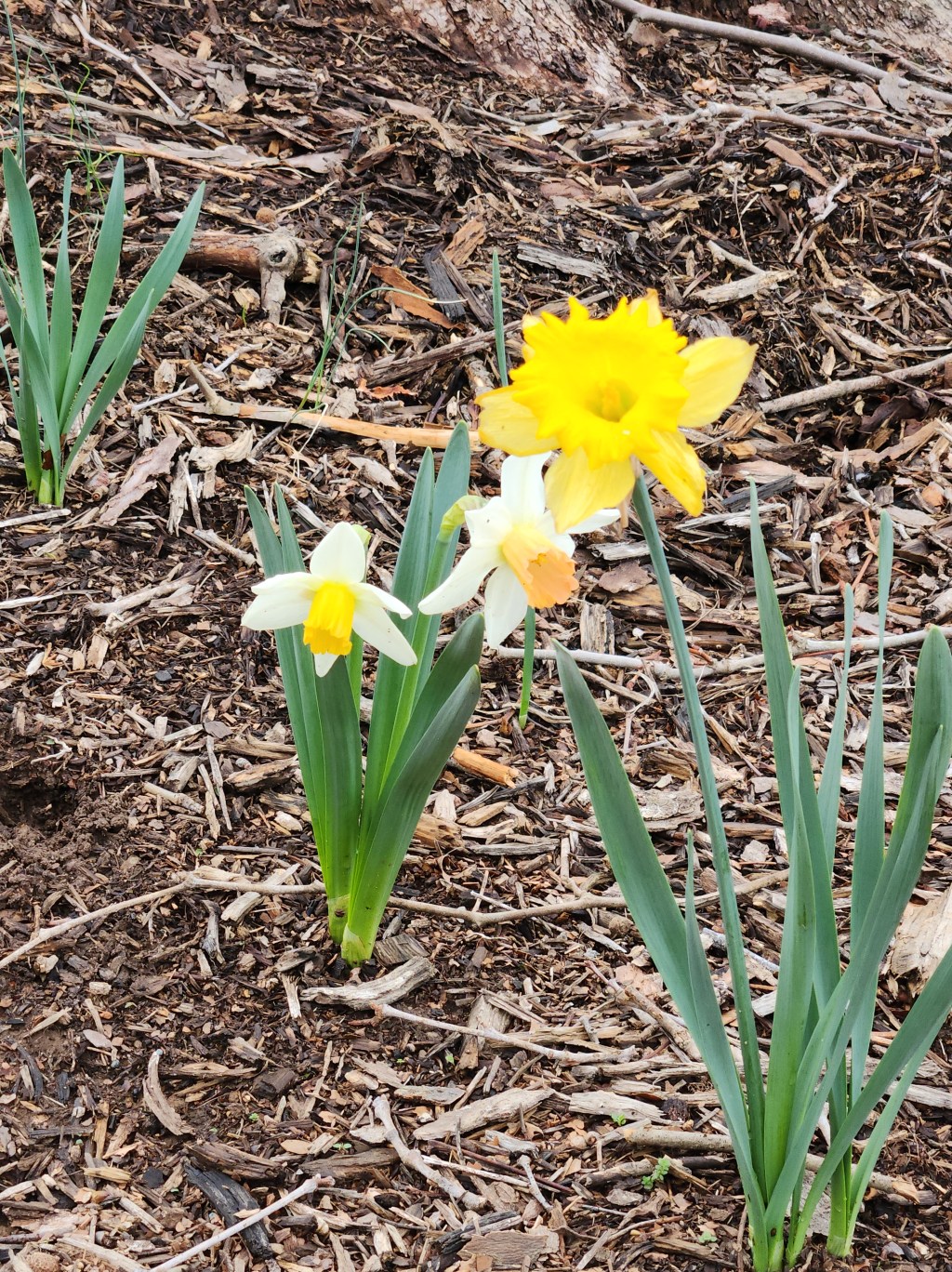 Some sewing,&nbsp; finally!