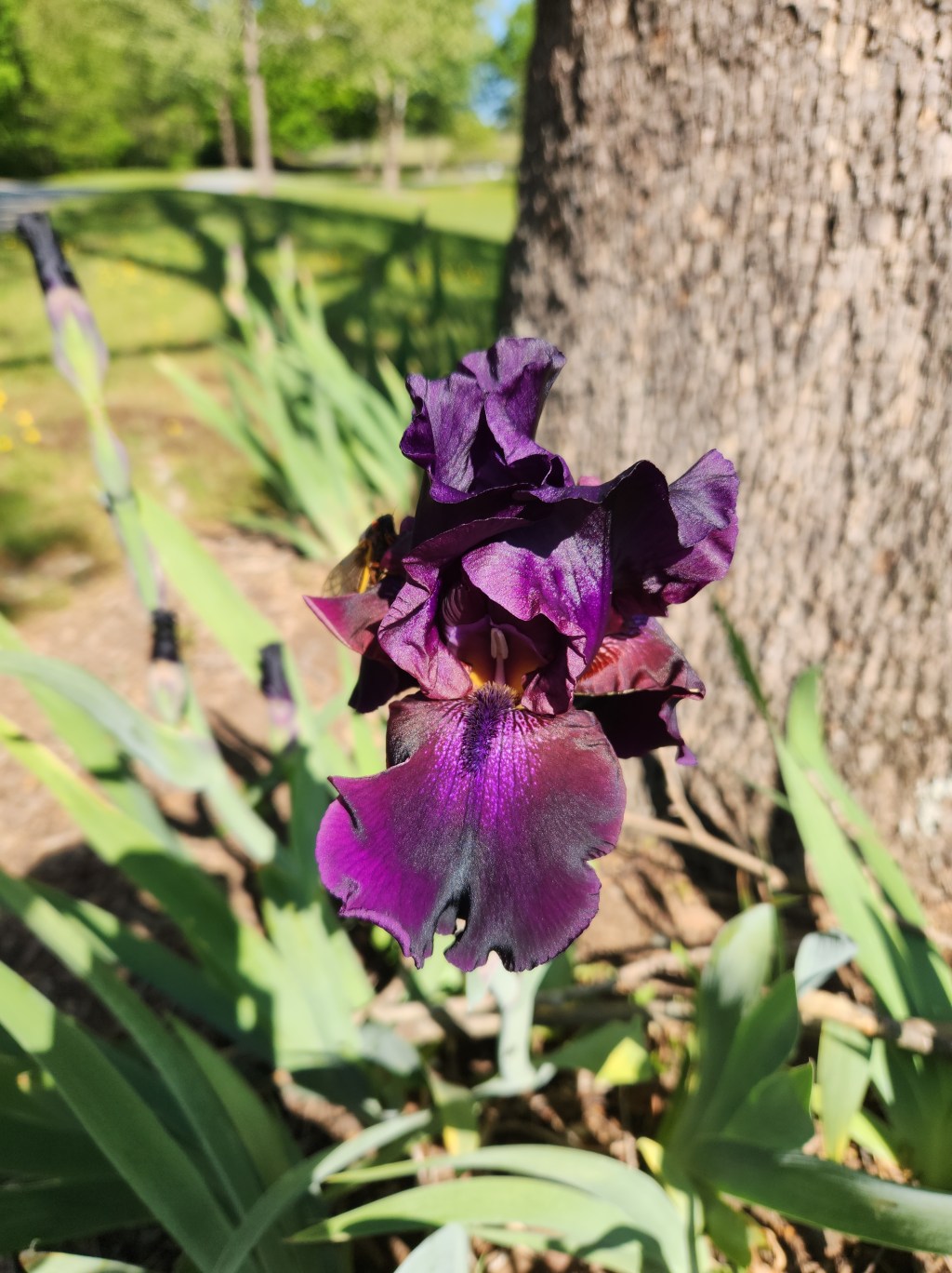 Getting back to&nbsp;normal